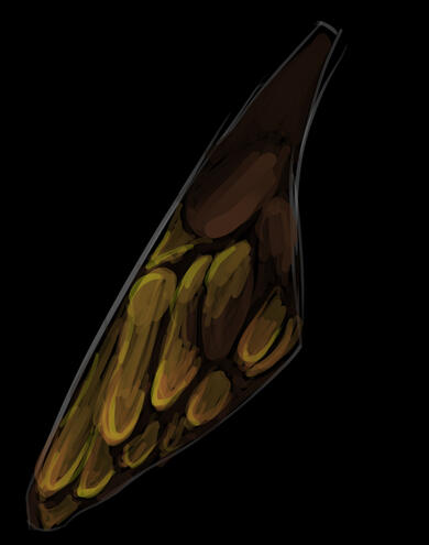 Wasp Wing - 5/14/2024